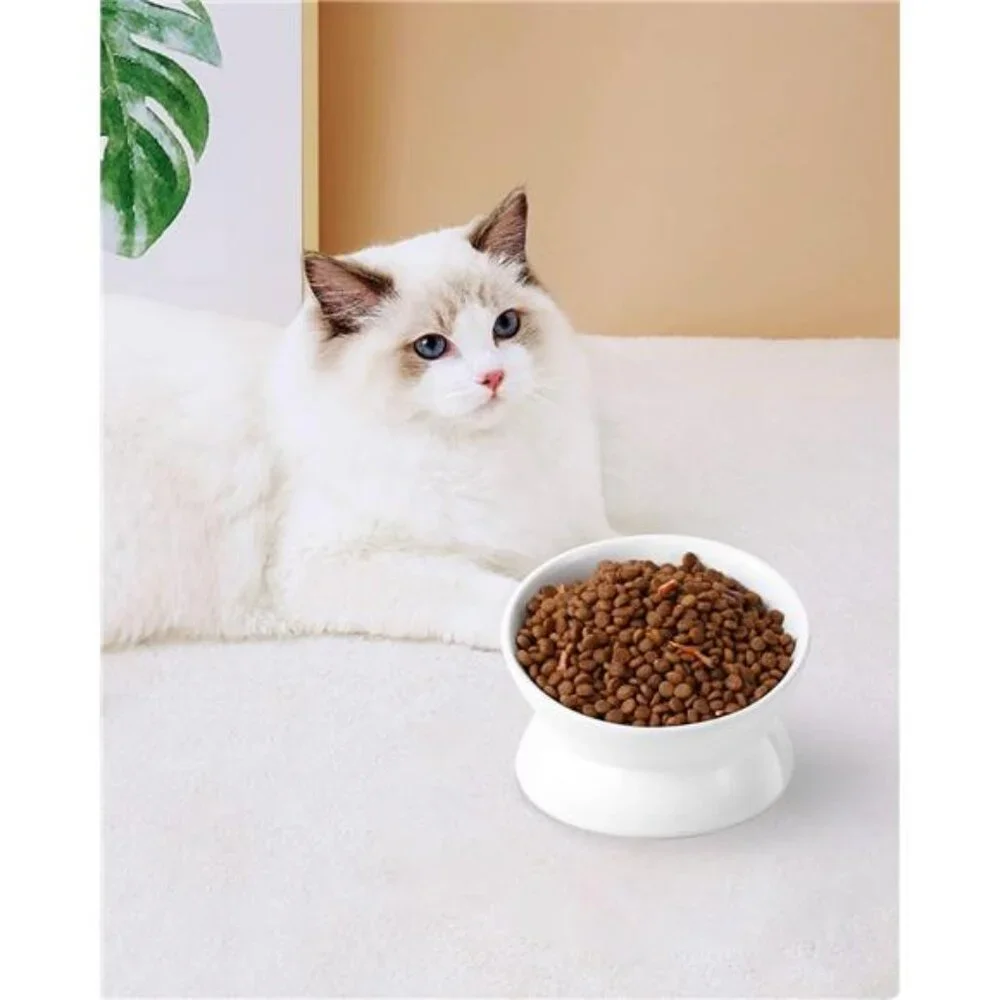 Elevated Cat Food Bowl, 5 Oz Ceramic Raised and Tilted Water Bowl, Anti Vomiting
